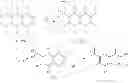 Fig. 57 - Phenyl linked quinolinyl modulators of RORγt