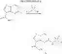Fig. 22 - PYRAZOLOPYRIMIDINE JAK INHIBITOR COMPOUNDS AND METHODS