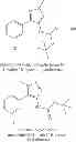Fig. 265 - PYRAZOLOPYRIMIDINE JAK INHIBITOR COMPOUNDS AND METHODS