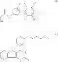 Fig. 07 - PHARMACEUTICAL COMPOSITION COMPRISING A TRPA1 ANTAGONIST AND A BETA-2 AGONIST