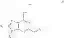 Fig. 03 - Immune system modulators