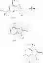 Fig. 191 - Immune system modulators