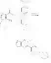 Fig. 197 - Immune system modulators
