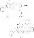 Fig. 205 - Immune system modulators