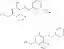 Fig. 216 - Immune system modulators