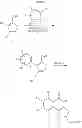 Fig. 07 - Thienyl- and furanyl-isoquinolinones and methods for using them