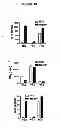 Fig. 06 - Therapeutic Methods For Type I Diabetes