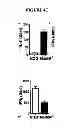 Fig. 07 - Therapeutic Methods For Type I Diabetes