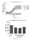Fig. 12 - Kinase inhibitors and methods of use thereof