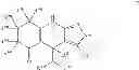Fig. 125 - Kinase inhibitors and methods of use thereof
