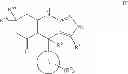Fig. 244 - Kinase inhibitors and methods of use thereof