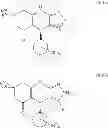 Fig. 71 - Kinase inhibitors and methods of use thereof