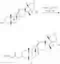 Fig. 78 - Methods of use of cyclopamine analogs