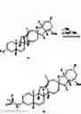 Fig. 84 - Methods of use of cyclopamine analogs