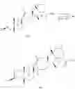 Fig. 93 - Methods of use of cyclopamine analogs