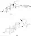 Fig. 94 - Methods of use of cyclopamine analogs