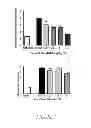 Fig. 08 - QUATERNARY OPIOID CARBOXAMIDES