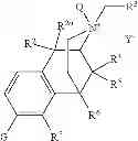 Fig. 45 - QUATERNARY OPIOID CARBOXAMIDES