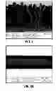 Fig. 02 - COMPOSITIONS AND METHODS OF FORMING FILMS FOR IMPROVED DRUG DELIVERY