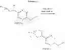 Fig. 51 - Insecticidal compounds based on arylthioacetamide derivatives