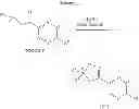 Fig. 54 - Insecticidal compounds based on arylthioacetamide derivatives