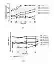 Fig. 02 - Pharmaceutical composition and a process thereof