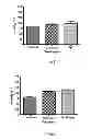 Fig. 03 - Pharmaceutical composition and a process thereof