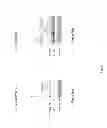 Fig. 07 - G-quadruplex stabilising agent