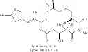Fig. 02 - PARENTERAL FORMULATION FOR EPOTHILONE ANALOGS