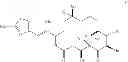 Fig. 07 - PARENTERAL FORMULATION FOR EPOTHILONE ANALOGS