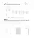 Fig. 13 - COMPOSITION COMPRISING ANGIOTENSIN II RECEPTOR ANTAGONIST AND ANTIOXIDANT FOR MAINTAINING AND/OR IMPROVING SKIN PROPERTIES