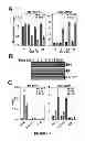 Fig. 02 - METHOD OF MODULATING A PROSTATE CANCER CELL