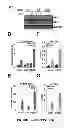 Fig. 06 - METHOD OF MODULATING A PROSTATE CANCER CELL