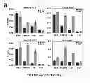 Fig. 08 - METHOD OF MODULATING A PROSTATE CANCER CELL