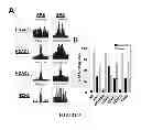 Fig. 09 - METHOD OF MODULATING A PROSTATE CANCER CELL