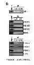 Fig. 12 - METHOD OF MODULATING A PROSTATE CANCER CELL