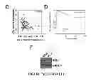 Fig. 16 - METHOD OF MODULATING A PROSTATE CANCER CELL