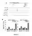 Fig. 23 - METHOD OF MODULATING A PROSTATE CANCER CELL