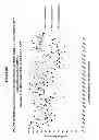 Fig. 07 - Methods and compositions for the specific inhibition of MYC by double-stranded RNA