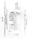 Fig. 08 - Methods and compositions for the specific inhibition of MYC by double-stranded RNA