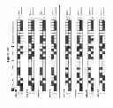 Fig. 43 - Methods and compositions for the specific inhibition of MYC by double-stranded RNA