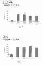 Fig. 06 - METHODS AND MEANS FOR TREATMENT OF OSTEOARTHRITIS