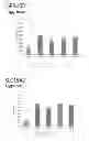 Fig. 13 - METHODS AND MEANS FOR TREATMENT OF OSTEOARTHRITIS