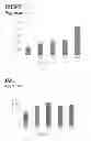 Fig. 16 - METHODS AND MEANS FOR TREATMENT OF OSTEOARTHRITIS