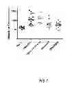Fig. 02 - MicroRNA compounds and methods for modulating MIR-21 activity