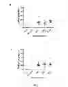 Fig. 03 - MicroRNA compounds and methods for modulating MIR-21 activity