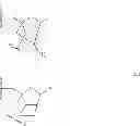 Fig. 04 - MicroRNA compounds and methods for modulating MIR-21 activity