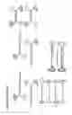 Fig. 06 - Capsid-free AAV vectors, compositions, and methods for vector production and gene delivery