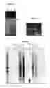 Fig. 11 - Capsid-free AAV vectors, compositions, and methods for vector production and gene delivery