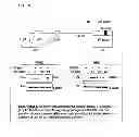 Fig. 06 - Functional nucleic acid molecule and use thereof